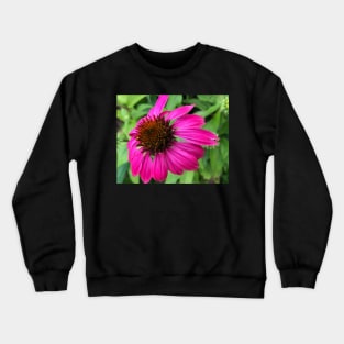 Rise and Shine with Pink Echinacea Crewneck Sweatshirt